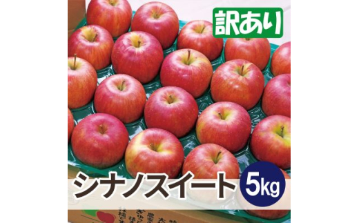 ＜25年11月より順次発送＞平均糖度13度以上! シナノスイート 約5kg 訳あり【1609637】 2072606 - 青森県青森市