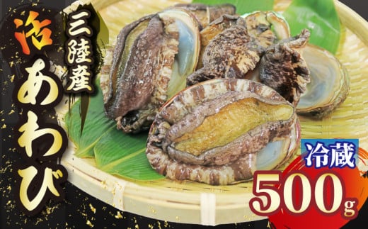 活エゾアワビ 約500g 冷蔵 鮑 蝦夷あわび 活あわび あわび アワビ 鮑 Abalone ステーキ  バターソテー 正月 お正月 おせち  刺し身 刺身 バーベキュー BBQ ごはん 夕飯 おかず おつまみ 晩酌 米 丼 海産物 海鮮 魚介 魚介類 贈答品 お中元 お歳暮 大船渡 三陸 岩手県 国産 549269 - 岩手県大船渡市