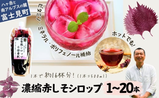 先行予約 9月発送開始 馨工房 濃縮 赤紫蘇シロップ 500ml 1〜20本 6倍希釈用 2025年産赤紫蘇[ 赤紫蘇ジュース 赤紫蘇シロップ 赤しそジュース 赤しそシロップ しそジュース しそシロップ 炭酸割り お酒割り お湯割り かき氷 赤紫蘇 赤しそ 紫蘇 しそ シソ シロップ ジュース 飲料 飲み物 飲みもの ドリンク 希釈 倍 ]