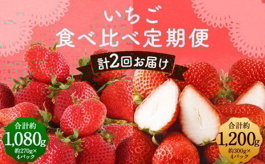 【全2回定期便】数量限定 フルーツ定期便 いちご 2品種 食べ比べ （ あまおう ・ かおり野 ） 合計約2.28kg 【2026年1月下旬から3月下旬まで順次発送予定】 351041 - 福岡県筑後市