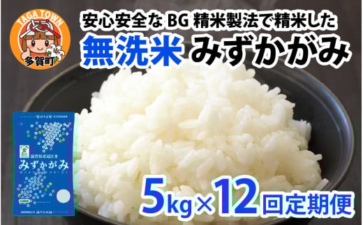 【先行予約】【令和７年産新米早期予約　毎月定期配送・計12回】 BG無洗米みずかがみ5kg×12回【2025年9月以降順次発送】[P-00403] / 滋賀県産 多賀町 みずかがみ 米 お米 こめ コメ 白米 ご飯 精米 5kg 袋 定期便 12ヶ月連続 国産 送料無料 おすすめ 人気 大人気 国産 ランキング 無洗米 ヌカ