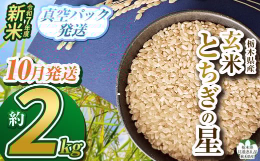 【栃木県共通返礼品】【先行予約】【10月発送】令和7年度新米 栃木県産とちぎの星 2kg | 玄米 精米 お米 コメ とちぎの星 先行予約 ブランド米 栃木県 特産品  下野市 送料無料
