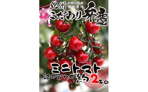 こだわりミニトマト詰め合わせ