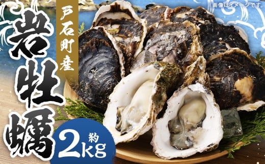 戸石町産 岩牡蠣 計約2kg（生食用／カキナイフ付き）【2025年5月8日～9月21日迄発送予定】 牡蠣 カキ イワガキ 生牡蠣 長崎県 長崎市