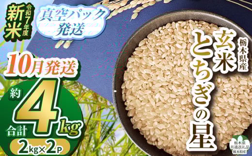 【栃木県共通返礼品】【先行予約】【10月発送】令和7年度新米 栃木県産とちぎの星 2kg×2 | 玄米 精米 お米 コメ とちぎの星 先行予約 ブランド米 栃木県 特産品  下野市 送料無料