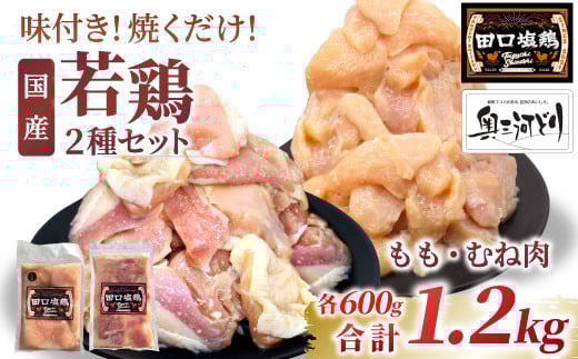 奥三河どり使用！ 田口塩鶏 国産 若鶏味付け肉 2種セット 1.2kg（もも肉300g×2・むね肉300g×2）もも肉 むね肉 塩ダレ 味付け肉 鶏肉 鶏 肉 キャンプ バーベキュー 味付け肉 大容量 手軽 焼くだけ 地鶏 焼肉 焼き鳥 -170
