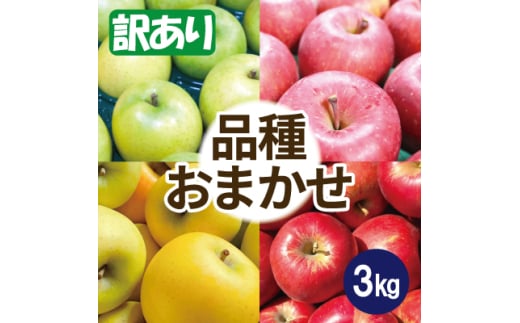 ＜26年6月出荷予定＞りんご 品種おまかせ 約3kg 訳あり CA貯蔵 クール便【1612945】 2078285 - 青森県青森市