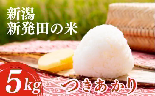 【先行予約】 令和7年産 つきあかり 5kg コシヒカリ こしひかり 同等以上の食味 ご飯 備蓄 コメ お米 米 こめ しんまい 新潟産 新潟米 新潟県 新潟 新発田 新発田市 国産 新発田市産 斗伸 toushin036 2119847 - 新潟県新発田市