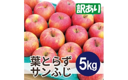 ＜2025年11月発送予定＞平均糖度13度以上! 葉とらずサンふじ 約5kg 訳あり【1607469】 2059326 - 青森県青森市