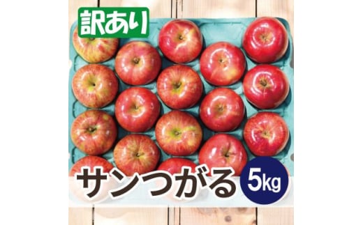 平均糖度12度以上! サンつがる 約5kg 訳あり クール便【1607386】 2059316 - 青森県青森市