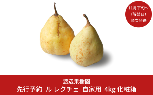 先行予約 ル レクチェ 自家用 4kg（10〜14玉）[11月下旬から発送予定] 令和7年度 西洋梨 ル レクチエ 洋梨 化粧箱 洋ナシ ル・レクチェ [渡辺果樹園] 【018S021】