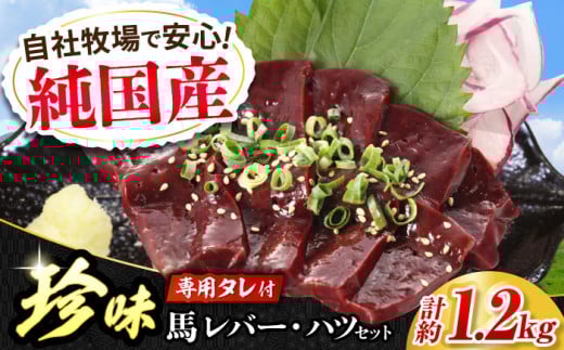 『純国産』熊本の味 馬 珍味 セット 計約1.2kg（200g×6セット）レバー ハツ 刺身 タレ付【有限会社 九州食肉産業】 [AYCN013] 2115004 - 熊本県合志市