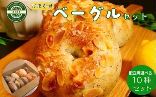 【2025年9月発送分】ベーグル おまかせ 10種セット パン 冷凍 焼きたて もちもちベーグル 便利 詰め合わせ 朝食 おやつ ぱん 国産小麦 食べ比べ 自家製 個包装 人気 小松島市  2098766 - 徳島県小松島市