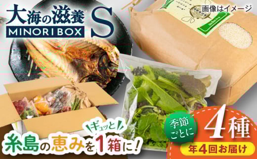 【全4回定期便】いとしま・大海の滋養 MINORI BOX Sサイズ【季節ごとに年4回お届け】　糸島市 / emma.Inc / 米 魚 野菜 詰め合わせ [AOP004]