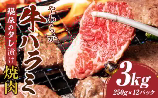 やわらか牛ハラミ焼肉　秘伝のタレ漬け3kg(250g×12P) | 牛肉 焼肉 タレ 漬け 秘伝 柔らかい 味付き やきにく ハラミ 希少 小分け 厚切り 冷凍 BBQ バーベキュー 香川県 三木町 国産 おすすめ |_mk146-029