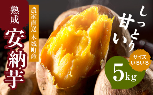 【先行予約】農家直送 木城町産 熟成安納いも5kg K30_0001_1
