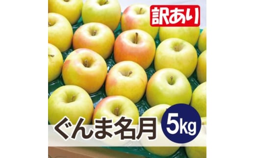 ＜26年4月出荷予定＞平均糖度13度以上! ぐんま名月 約5kg 訳あり CA貯蔵 クール便【1612879】 2084248 - 青森県青森市