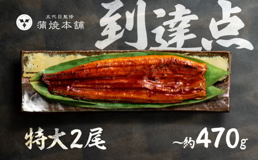 【土用の丑の日お届け】ふっくら肉厚！国産うなぎ 蒲焼 特大 2尾 老舗 国産うなぎ セット 詰め合わせ 蒲焼 ウナギ うなぎ unagi 鰻 2118359 - 愛知県豊橋市