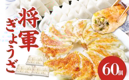 餃子専門店の餃子 将軍餃子 60個 餃子 ぎょうざ ギョーザ おかず 中華 料理 焼き餃子 惣菜 専門店 人気 A02033