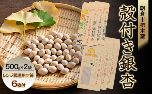 ぎんなん 朝倉市 杷木産 銀杏 殻付き 500g×2袋 レンジ調理用封筒付(100g用×3枚、150g用×3枚)
