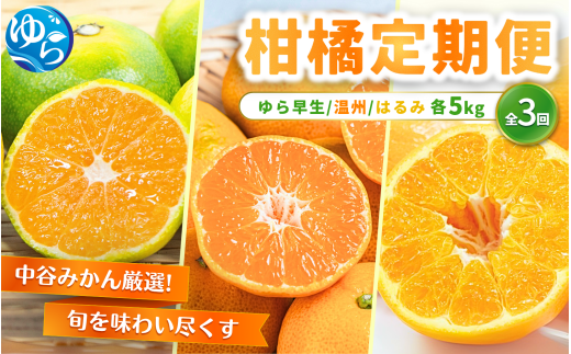 【柑橘 定期便】中谷みかん厳選！柑橘定期便全3回（ゆら早生みかん・温州みかん・はるみみかん） / くだもの  果実  柑橘 果物 フルーツ 国産 和歌山県 由良町 人気 おすすめ 柑橘 かんきつ みかん おれんじ オレンジ 早生 ゆら早生 温州 はるみ 由良【nktn-tkb001】 2118924 - 和歌山県由良町