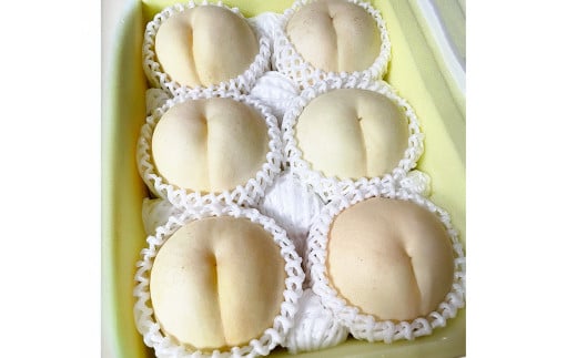 【先行予約】 希少品種の岡山の白桃 ・ CX 2kg箱（約6個～9個） 【2025年10月発送予定】 ／ 桃 もも モモ はくとう シーエックス 果物 くだもの フルーツ デザート 冷蔵 2118676 - 岡山県美咲町
