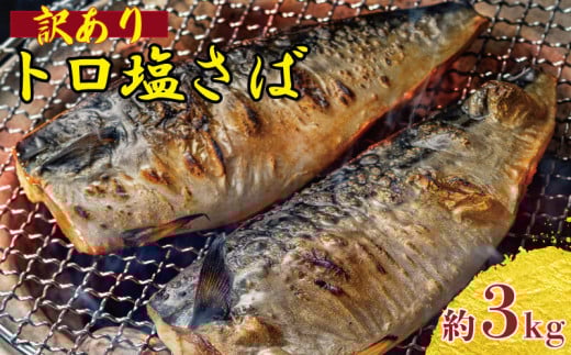 訳あり トロ 塩サバ フィレ 約3kg 塩