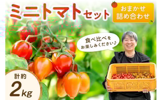 アイテムID:362032の画像1枚目