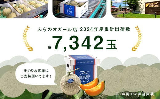 北海道中富良野町のふるさと納税 【2025年発送】富良野メロン　2玉（1.6kg×2玉）
