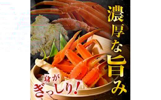 北海道えりも町のふるさと納税 訳アリ本ズワイガニ（500ｇ）【er018-046-b】