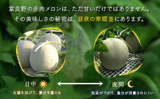 北海道中富良野町のふるさと納税 【2025年発送】富良野メロン　2玉（1.6kg×2玉）