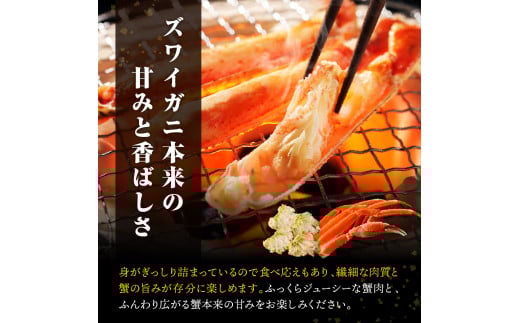 北海道えりも町のふるさと納税 訳アリ本ズワイガニ（500ｇ）【er018-046-b】