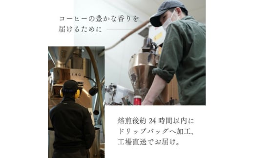 大阪府和泉市のふるさと納税 ドリップコーヒー　イツモブレンド　100杯　自家焙煎　辻本珈琲_ コーヒー ドリップ ドリップコーヒー 珈琲 ブレンド イツモブレンド 飲料 ドリンク 100杯 自家焙煎 オフィス アウトドア キャンプ 贈答 ギフト プレゼント 送料無料 【1502759】