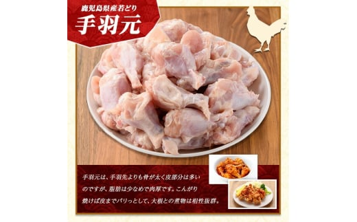 鹿児島県長島町のふるさと納税 若どり手羽元(計12kg・2kg×6袋)  鶏肉 小分け 冷凍 手羽元 【まつぼっくり】matu-1461R7