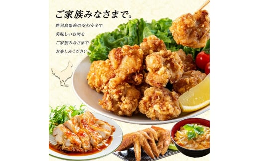 セット内容