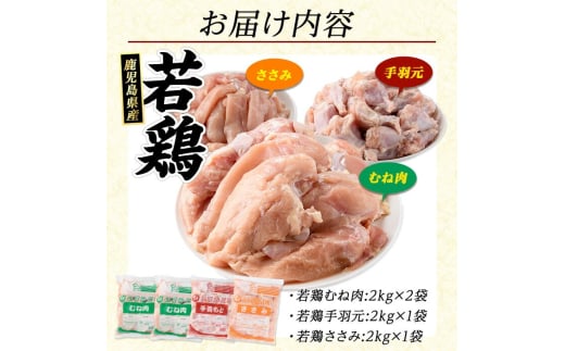 セット内容
