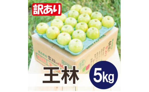 ＜26年5月より順次発送＞平均糖度13度以上! 王林 約5kg 訳あり  クール便【1611823】 2096853 - 青森県黒石市