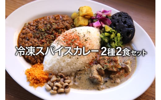 冷凍 スパイスカレー 2種 2食 セット [カレーライフ 長崎県 雲仙市 item2232]