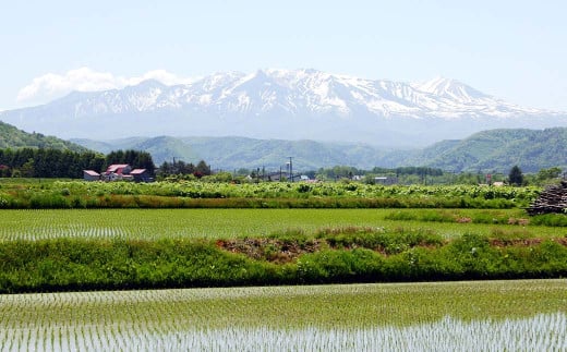 愛別町への寄附 1,000,000円 （返礼品はありません）