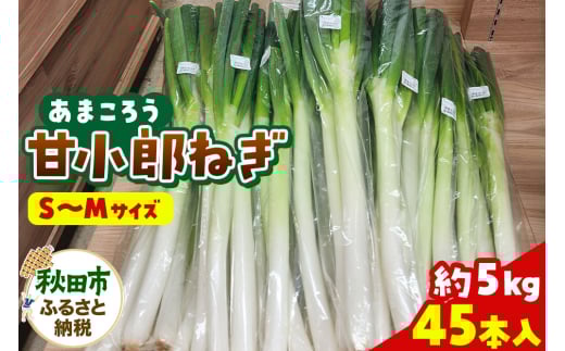 甘小郎ねぎ 約5kg（1箱45本入り）