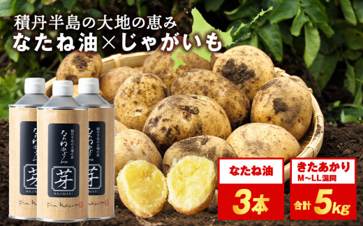 【2025年秋発送予約】積丹町産 きたあかり 5kg×なたねあぶら 芽（はじまり）添加物(600ｇ3本)セット