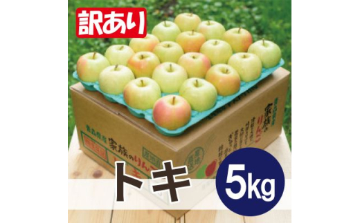 ＜26年1月より順次発送＞平均糖度13度以上! トキ 約5kg 訳あり【1611803】 2096835 - 青森県黒石市