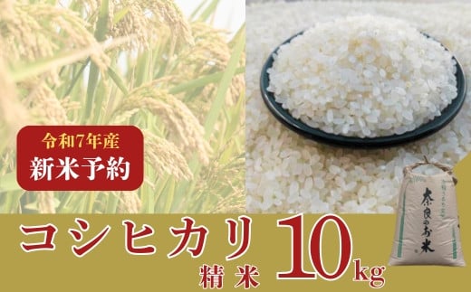 〈数量限定〉【2025年収穫後順次発送】新米コシヒカリ　10kg（精米）コシヒカリ こしひかり 新米 米 こめ ご飯 ふっくら つやつや 大和高原 コシヒカリ 大和高原醸造所 奈良県 奈良市 なら 32-006 2115400 - 奈良県奈良市