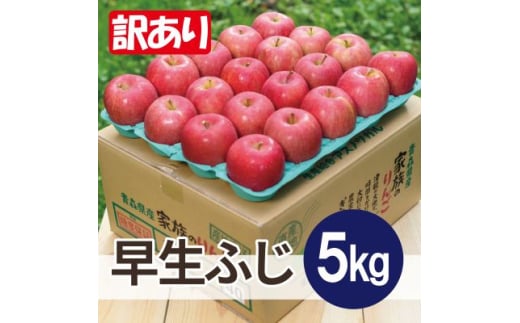 ＜25年10月より順次発送＞平均糖度12度以上! 早生ふじ 約5kg 訳あり【1610389】 2096721 - 青森県黒石市