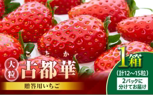 【2026年1月上旬～2月下旬発送】贈答用いちご【数量限定】『古都華』 いちご 数量限定 古都華 12～15粒 化粧箱 国産 国産苺 ストロベリー 果物 果実的野菜 フルーツ デザート おやつ 糖度 濃厚 香り 鮮やか 甘い ビタミン 奈良県産 お取り寄せ 贈答用 送料無料 227485 - 奈良県生駒市