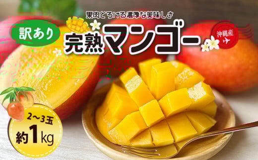 ＜熱帯資源植物研究所＞訳ありマンゴー１kg