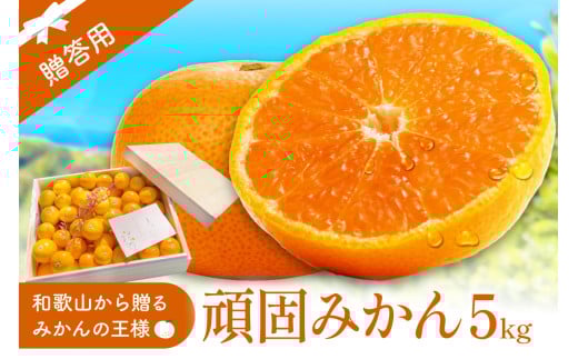 和歌山県天田のこだわり頑固みかん 5kg 贈答用木箱