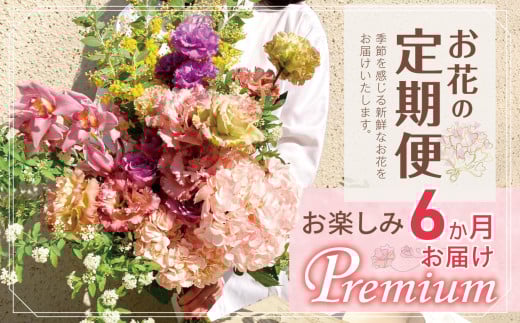 お楽しみ！ 6か月お届け お花の定期便「Premium」 | ブーケ タイプ 高さ50cm-55cm 本数20本以上 お花 flower フラワー ふらわー 花 はな リトルシード インテリア 植物 定期便 お任せ お見舞い ギフト お祝い 誕生日 親孝行 プレゼント贈り物 新鮮 調布 東京都