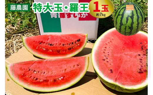 スイカ (特大玉) 羅王 1玉｜青森産 産直 2025年産 令和7年 夏 すいか 西瓜 果物 フルーツ 旬 特産 藤農園 農福連携 ラオウ らおう 羅皇 先行受付 [0835]