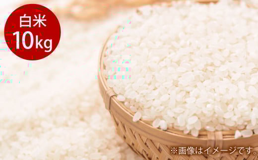令和7年度産 岡山県倉敷市産 きぬむすめ 白米 10kg【2025年10月上旬より発送開始】 643178 - 岡山県倉敷市